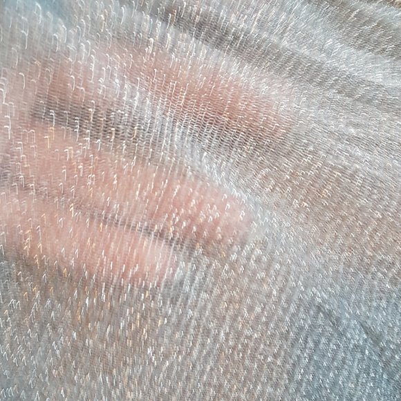 Zara BNWT Sparkle Mesh Tee - Picture 3 of 3